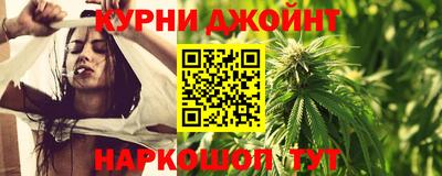 гидра Рязань