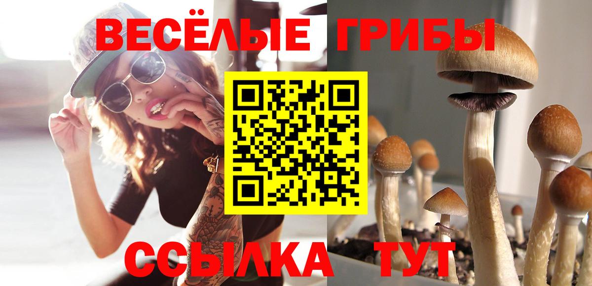 Галлюциногенные грибы мицелий  Вход с VPN  Родники 
